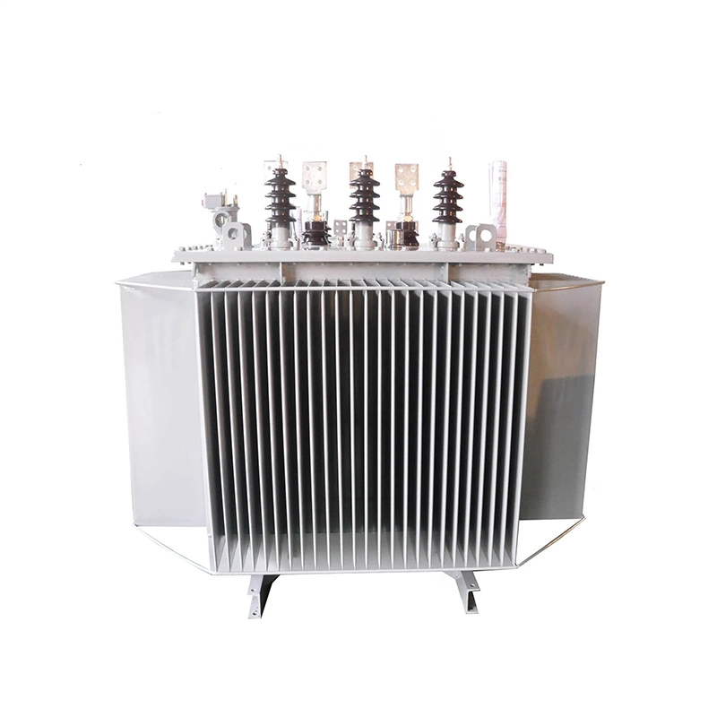 22kv Güç Trafosu 1000kva Yağlı