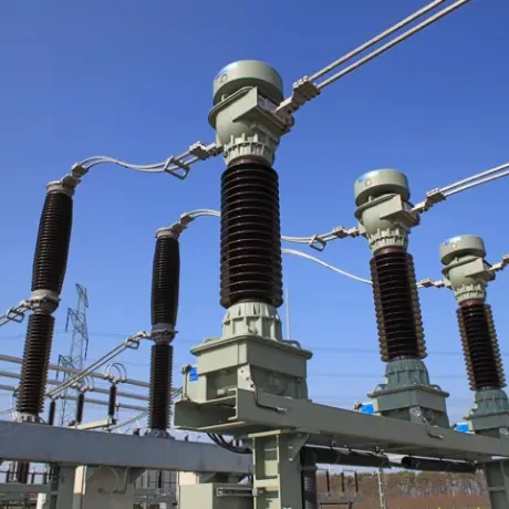 Yüksek Gerilim 11kv Kalıplı Vakum Kesici